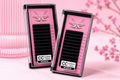 Winx Ultra Matte Dark Easyfan Lashtrays (CC-Curl) - 8-15mm Mixtray