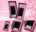 Winx Ultra Matte Dark Easyfan Lashtrays (C-Curl) - 10mm